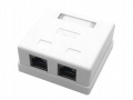 2-Port Cat.6 Surface Mounted Box